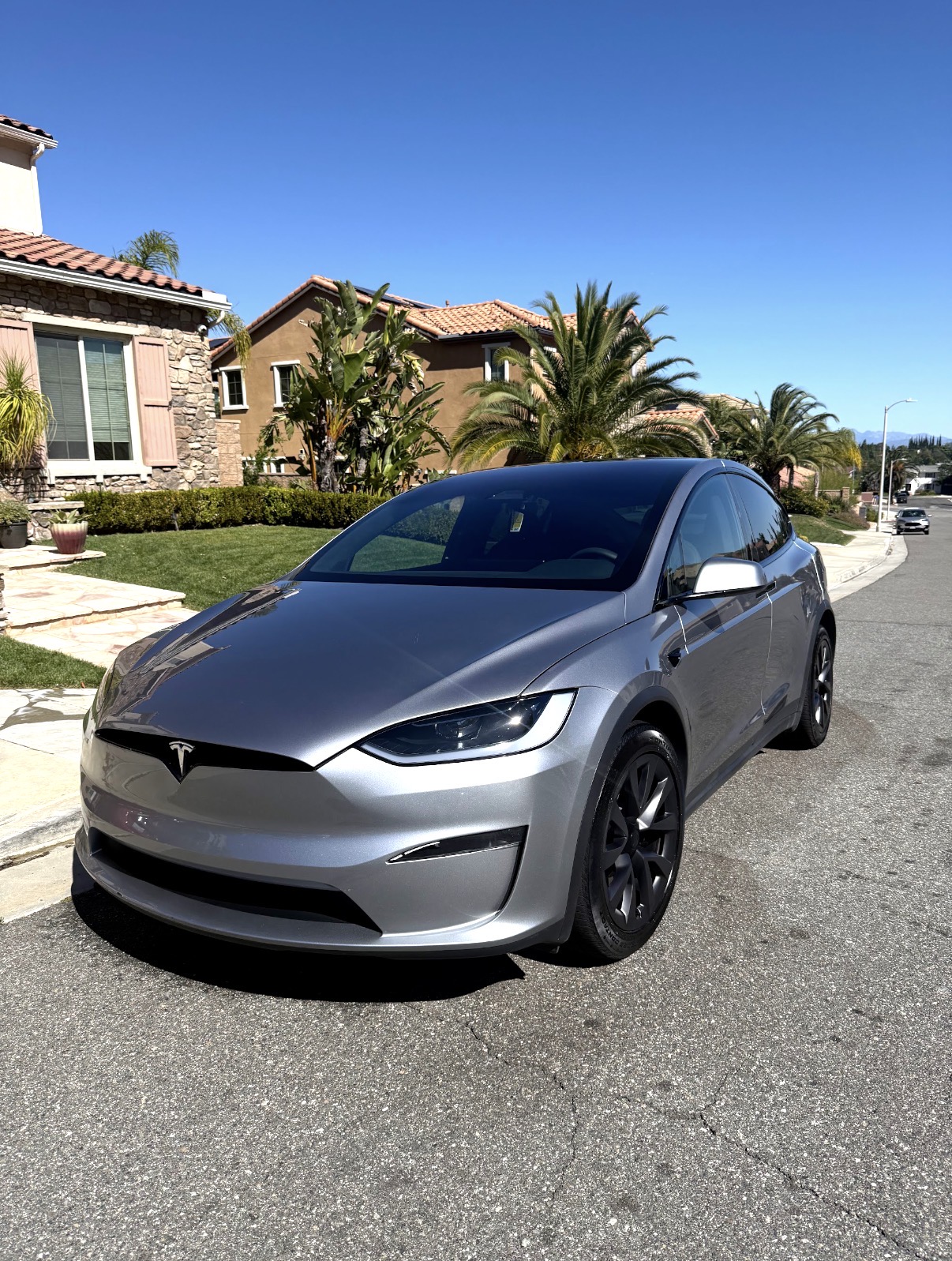 Tesla Model X — exterior detail